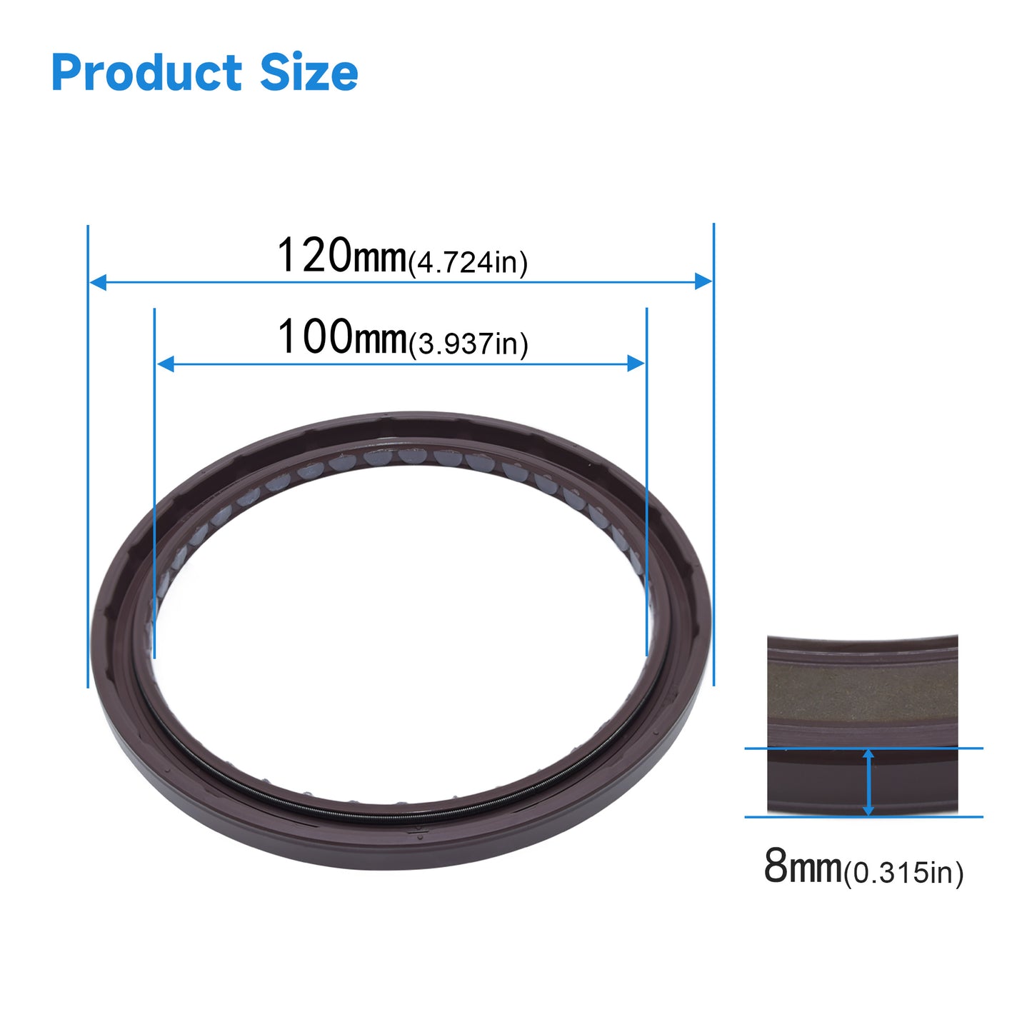 High Pressure Rotary Shaft Oil Seals 100x120x8mm, BABSL10FX2 Type FKM Double Lip Hydraulic Piston Pump Seals for Rexroth A2F500 Pump